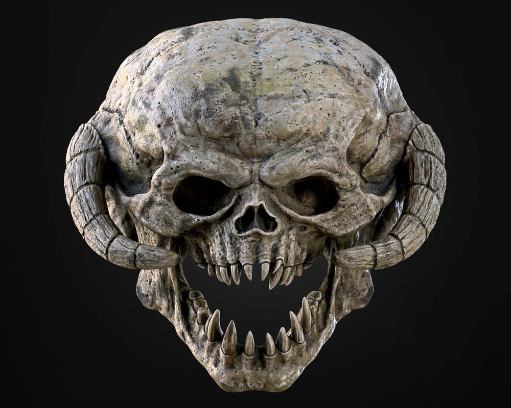 Wampa Skull – Wall Mount