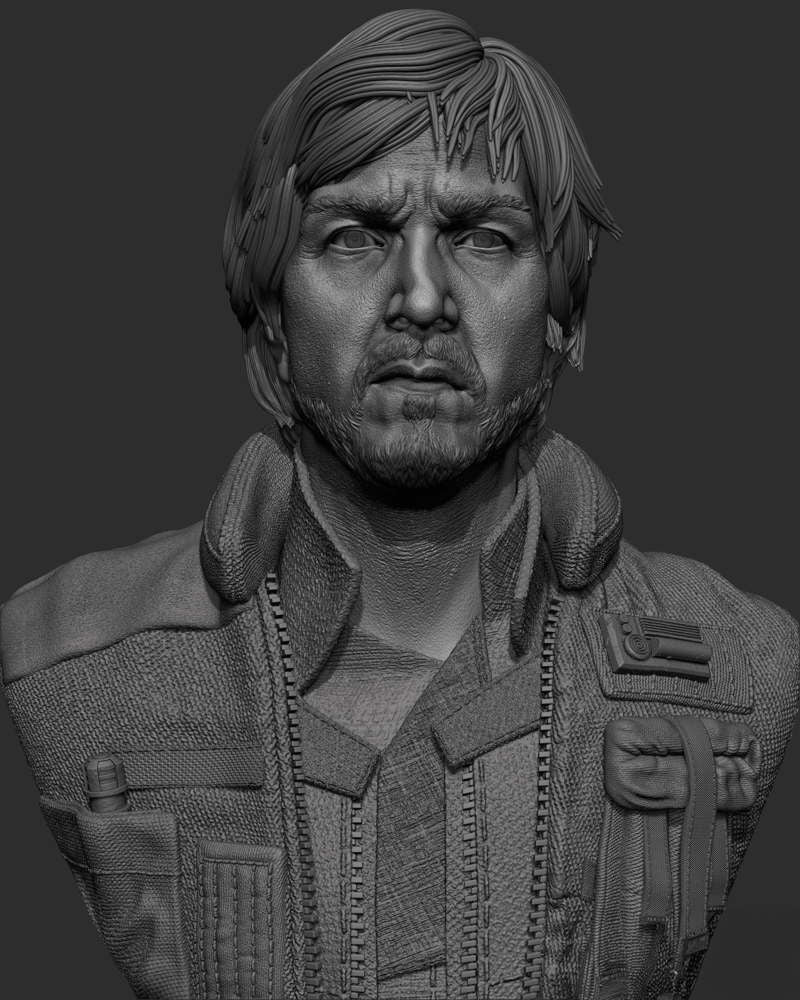 Cassian Andor – Portrait Bust