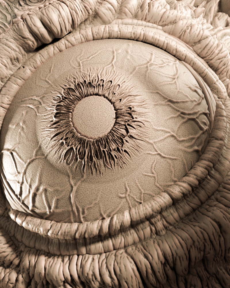 Shuma – Sculpture