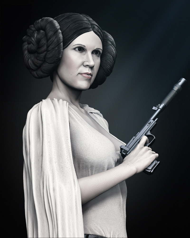 Leia Organa - Bust