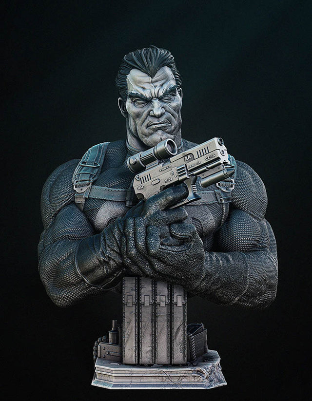 The Punisher - Bust