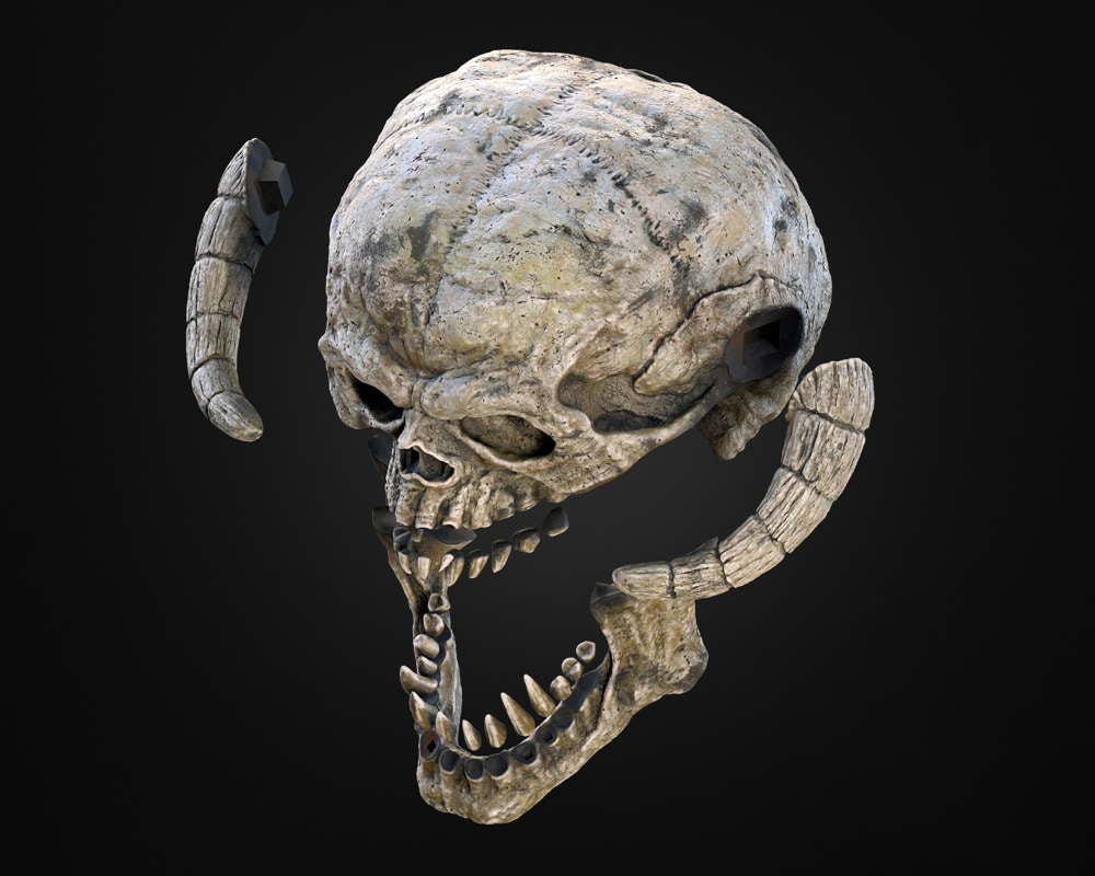 Wampa Skull – Wall Mount
